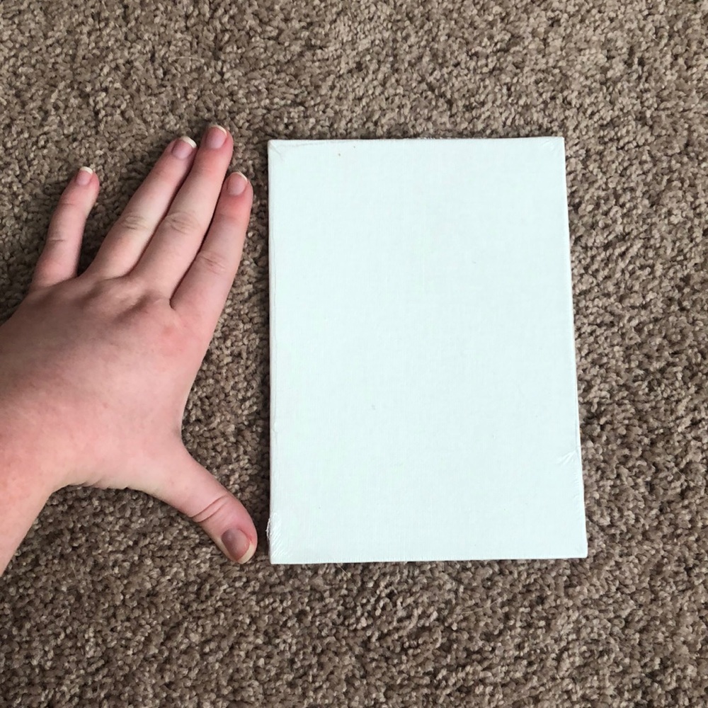 Nine (9) small white canvases